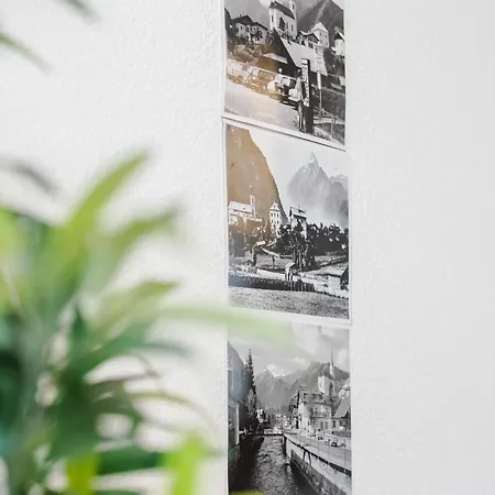 Penthouse Overview By Krone *