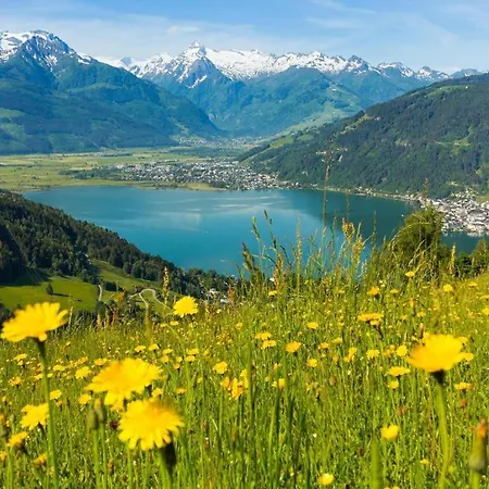 Penthouse Overview By Krone アパート